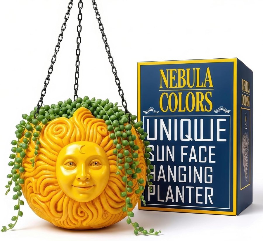A product photo of the hanging sun planter next to its box