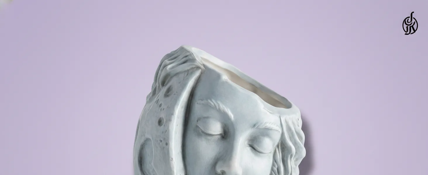 Moon face planter, A+ Content